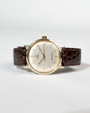 Omega Seamaster Pre De Villé