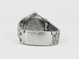 Omega Seamaster Professional